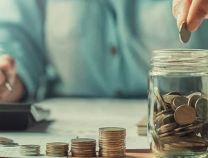 Fuzul, Tasarruf Finansmanında Rekor Büyümeyle Türkiye Ekonomisine Güç Katıyor