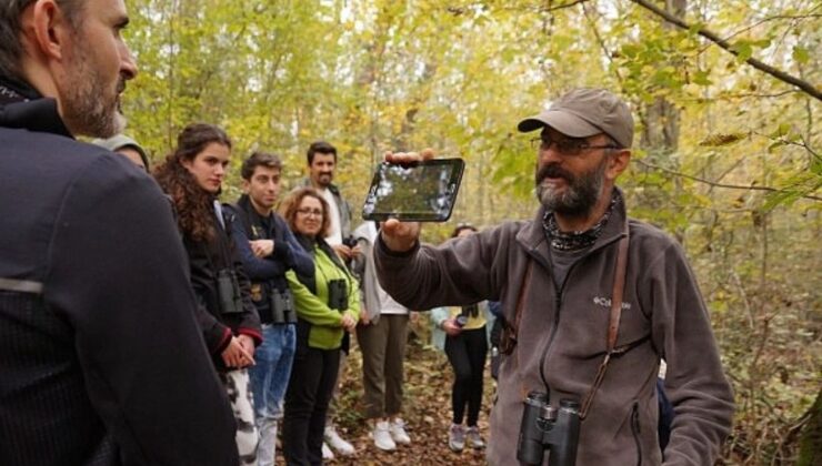Kocaeli Ormanya ve Kuzuyayla 2025 Yazında 2,28 Milyon Ziyaretçi Ağırladı