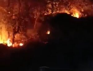 Hatay’da çıkan orman yangınları kontrol altına alındı