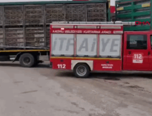 Osmaniye’de TIR’ın çarptığı yaşlı adam hayatını kaybetti